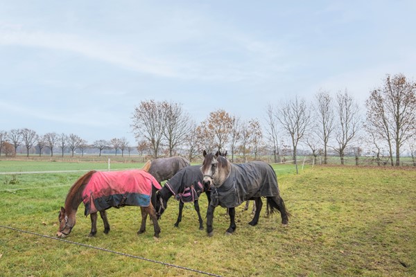 Ossehaarseweg 1, 7756PL Stieltjeskanaal (38).jpg